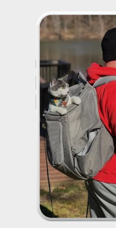 Person carrying a cat in a backpack carrier on a lakeside dock.
