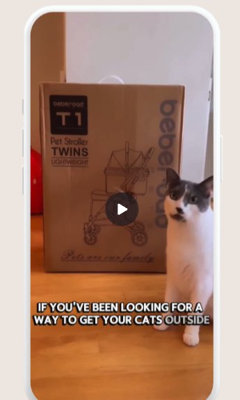 Video still of a pet stroller box with a curious cat beside it.