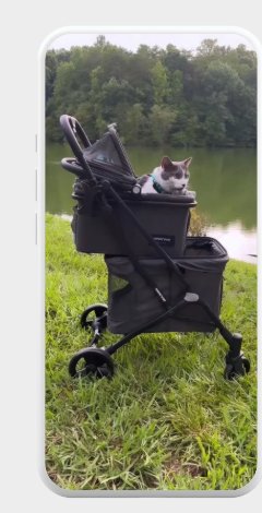 Cat riding in a pet stroller by a lake on a grassy hill.